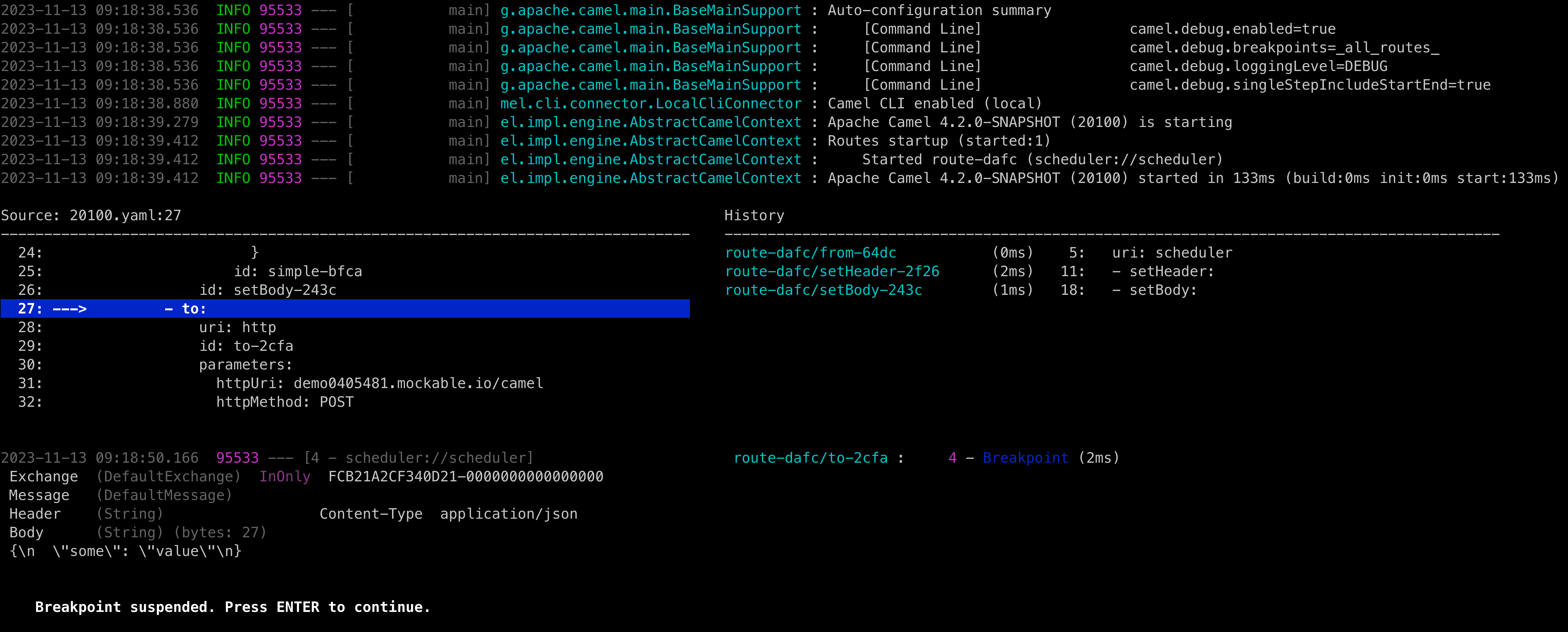 Camel Debug